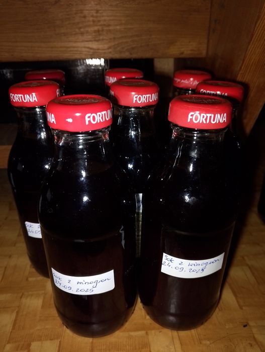 Sok z winogron, 330ml