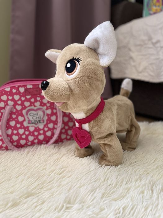 Чічі лав , собачка у сумочці