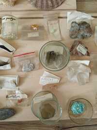 Kolekcja skamielin, minerałów i muszli. Ponad 50 okazów.