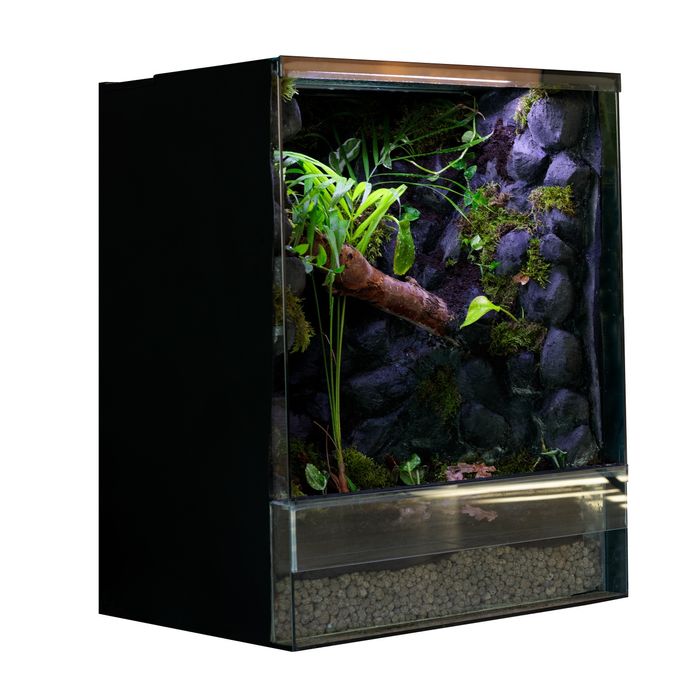 Terrarium gekon orzesiony 40x40x60