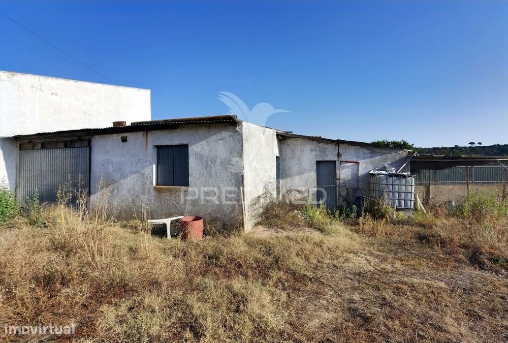 Terreno Rústico de 1000m² à Venda – O Almeirim, Arneiro das Milhariças