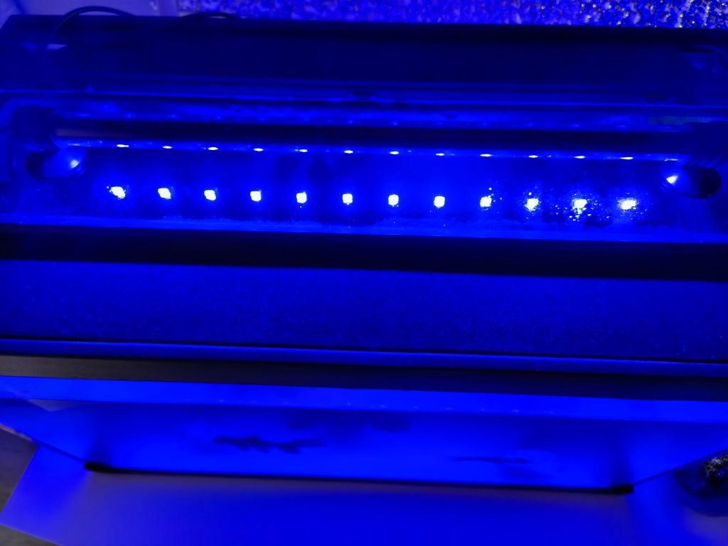Luz aquário azul