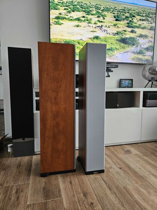 OKAZJA Glosniki kolumny podlogowe omega stereo AVANCE DANA 503 dunskie