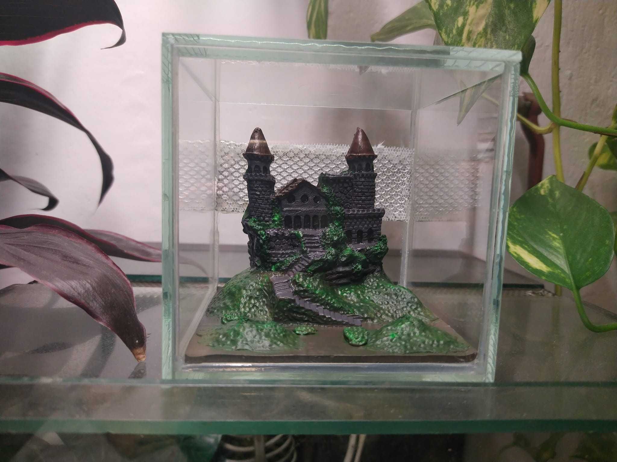 Terrarium 10x10x10h z wystrojem dla Skakuna