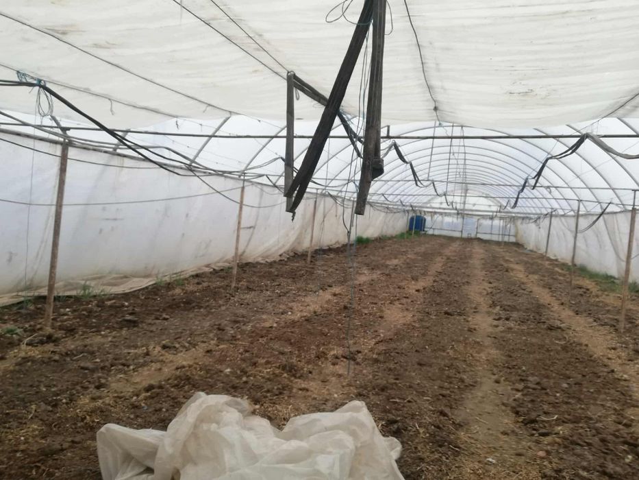 Дом хозпостройки