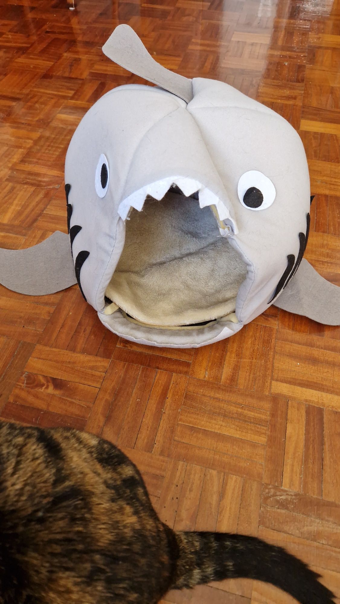Cama de gato ou cão peixe tubarão