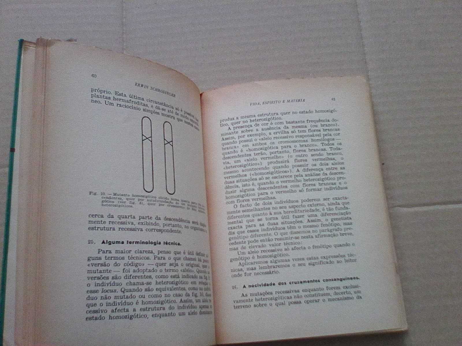 Vida, espírito e matéria