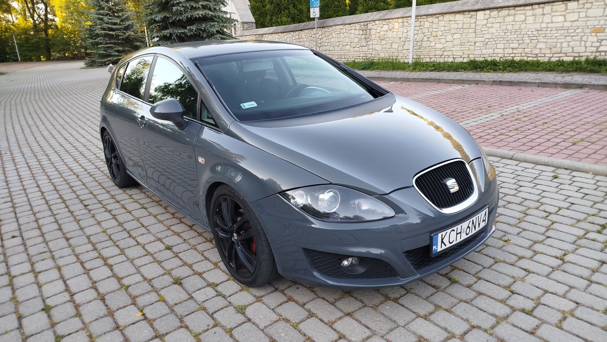 Seat leon 2 II 1.8 TSI