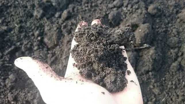 Czarnoziem, ziemia ogrodowa przesiewana, torf, pod trawniki, warzywa