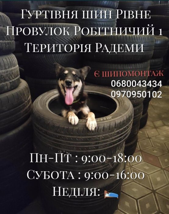 215/60R17C Michelin 2021-23 рік