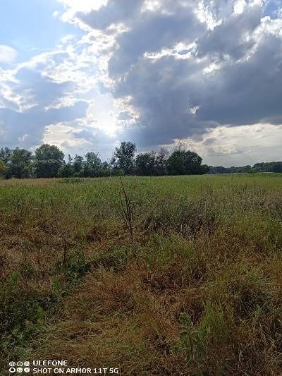 Будинок цегляний, два участки, 1 га землі