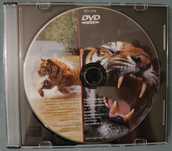 Drapieżniki z bliska DVD PL Stereo Dolby Digital