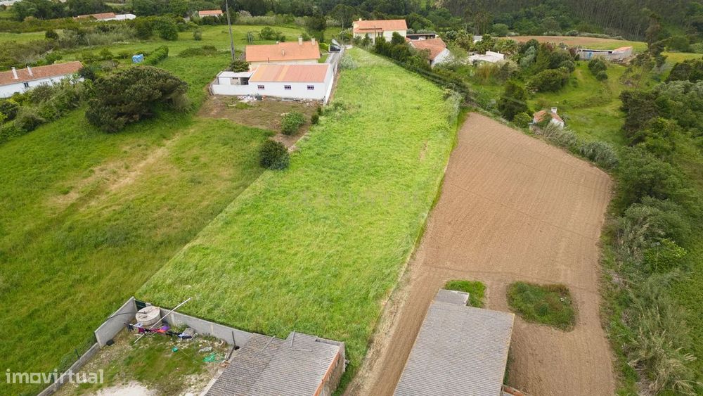 Terreno com Viabilidade de Construção na Cela – Vista Serra e Proximid