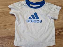 Koszulka bluzka Adidas 68cm 3-6m