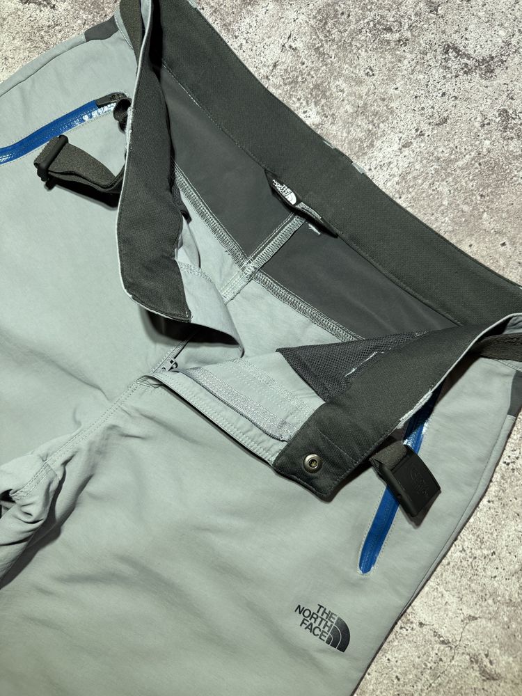 Трекінгові шорти The North Face