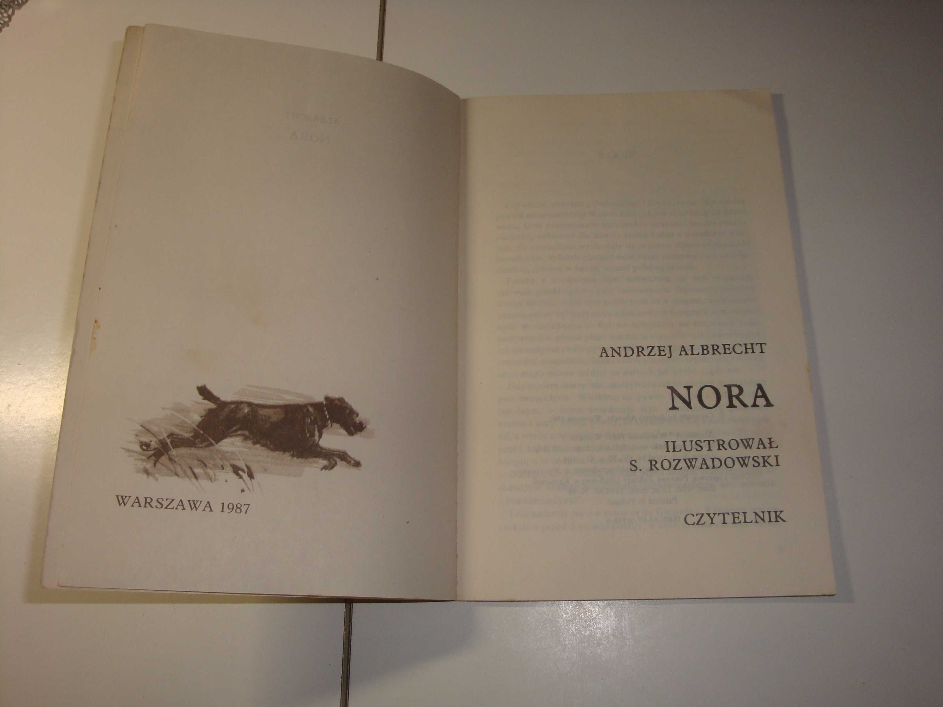 Nora - Andrzej Albrecht