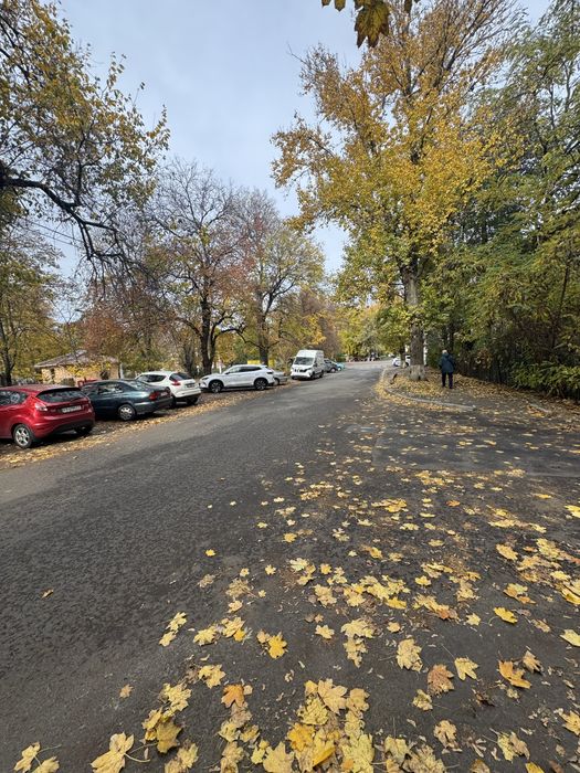 В продаже квартира в приморском районе