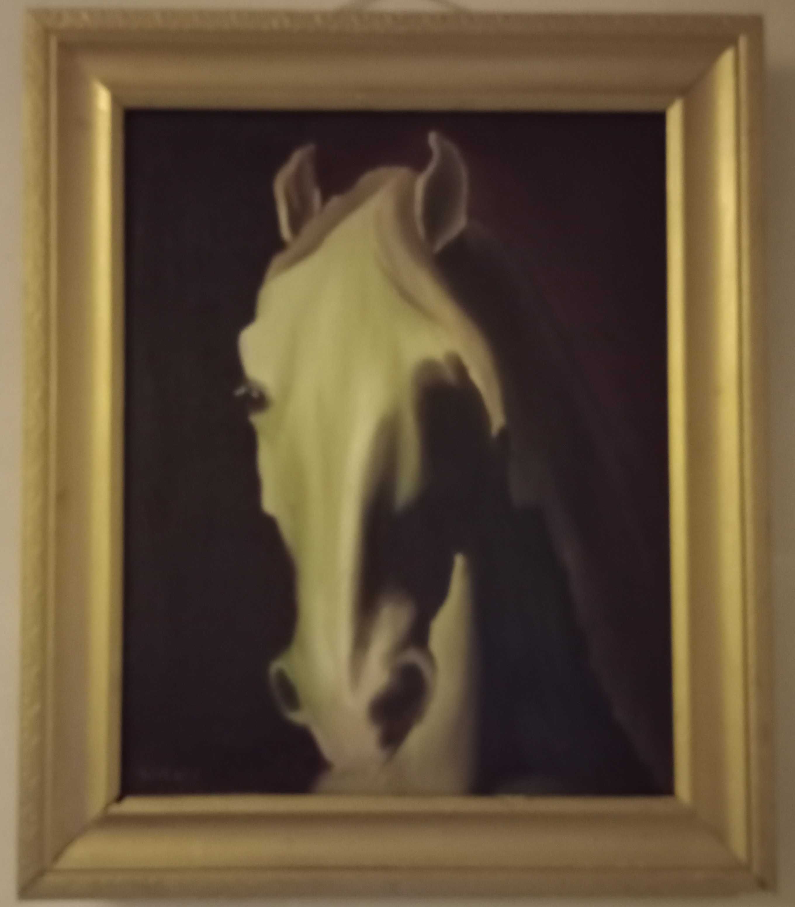 Autorski obraz olejny Portret Konia