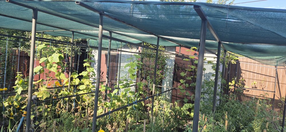 Продам шикарну дачу в якій можна жити поруч блакитні озера