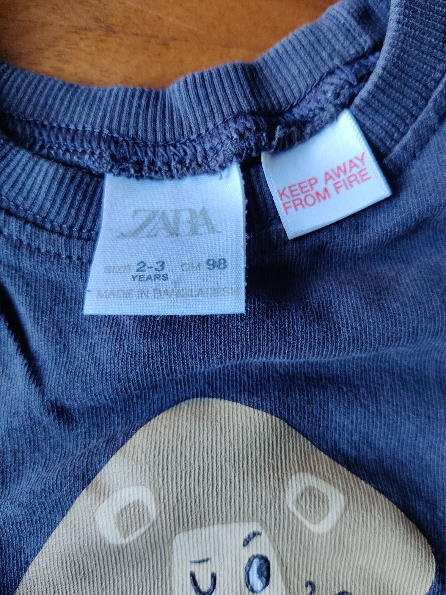 T-shirt manga comprida, cinzenta, Leão, Zara, 2/3 anos, 98 cm