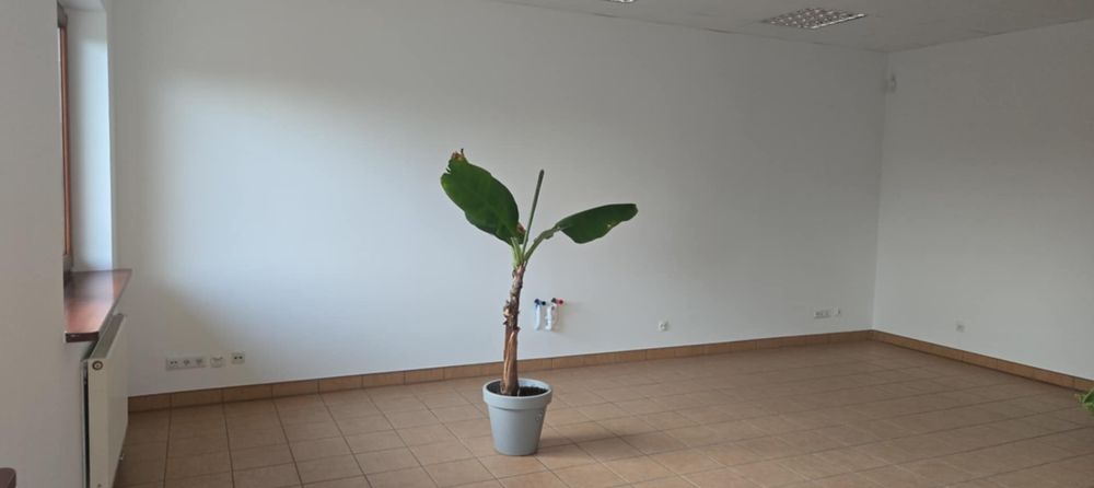 Wynajmę gabinety 20m2 40m2 Wrocław Obrońców Poczty Gdańskiej