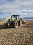 Siew rzepaku,zbóż bezorkowy Strip till, Horsch focus 4td