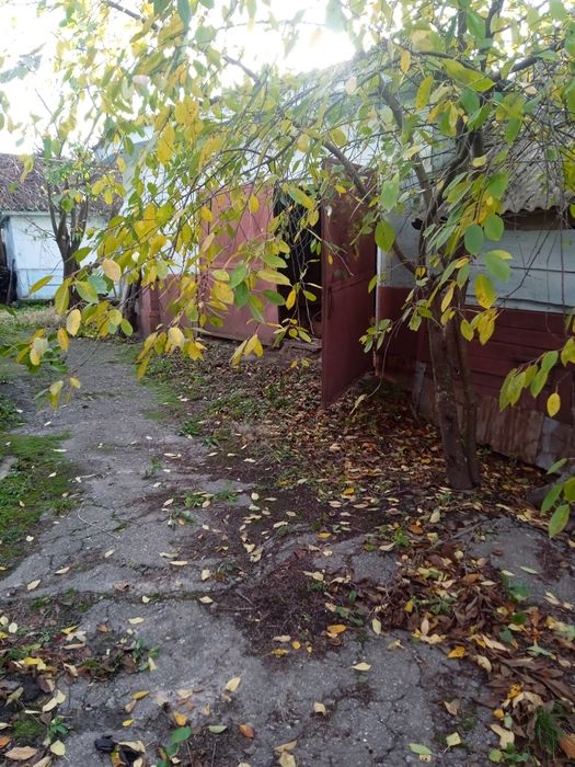 Продається будинок у с.Переяслівка