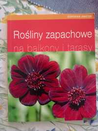 Rośliny zapachowe na balkony i tarasy