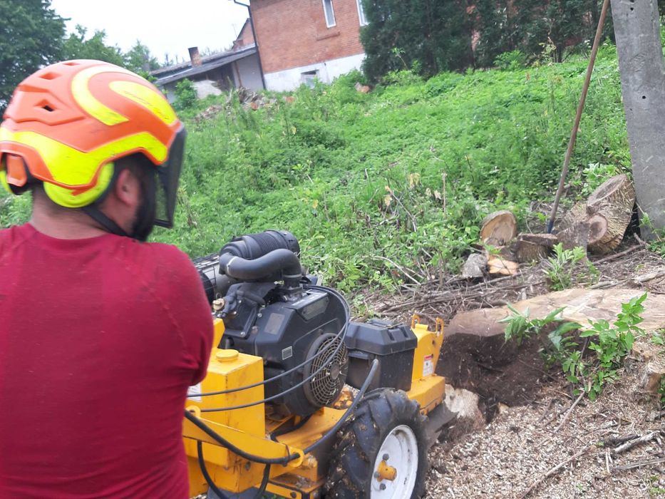 Usuwanie pniaków, czyszczenie z karp , frezowanie pni drzew Sandomierz