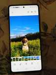 Samsung S 20 fe 6.5 cala