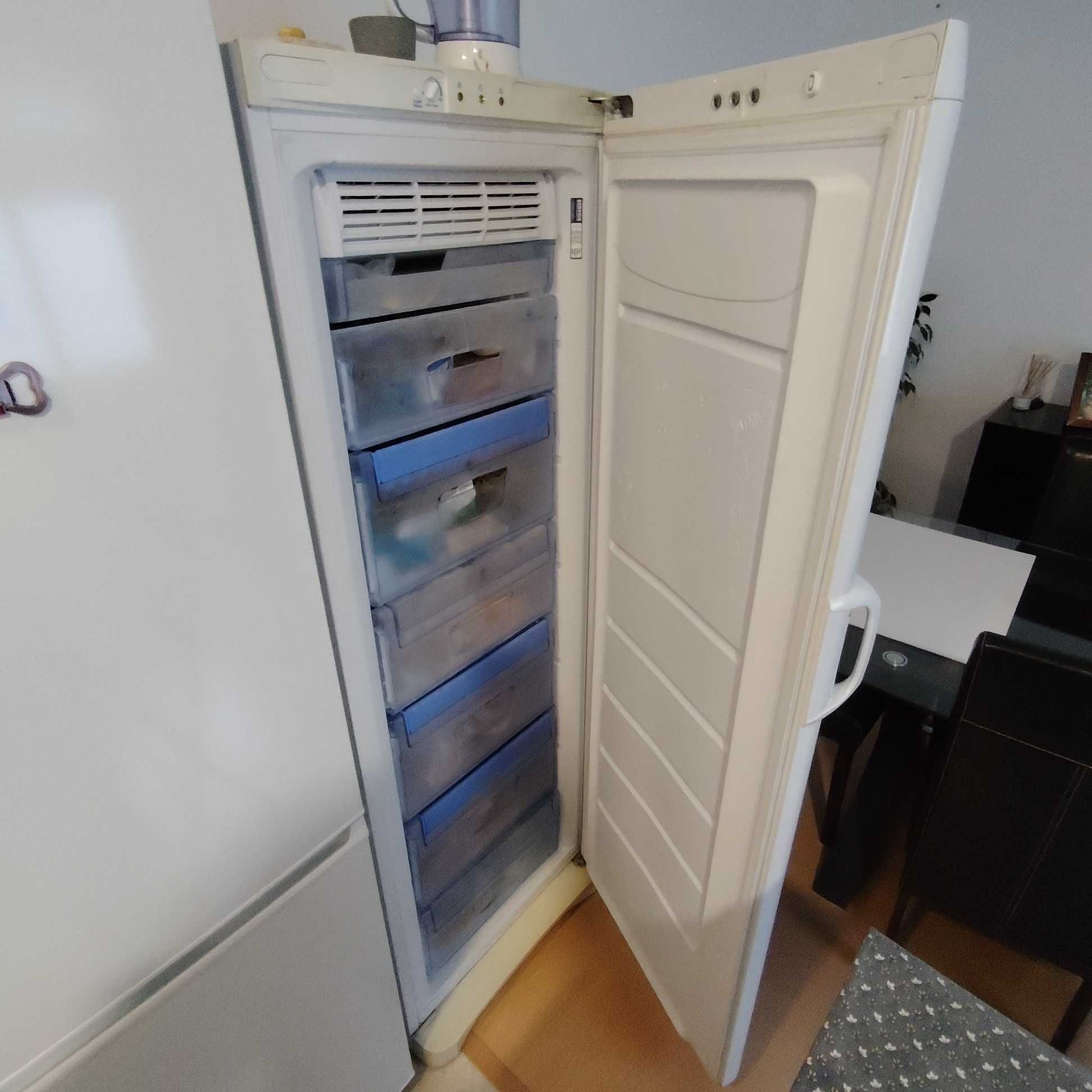 Arca congeladora vertical INDESIT