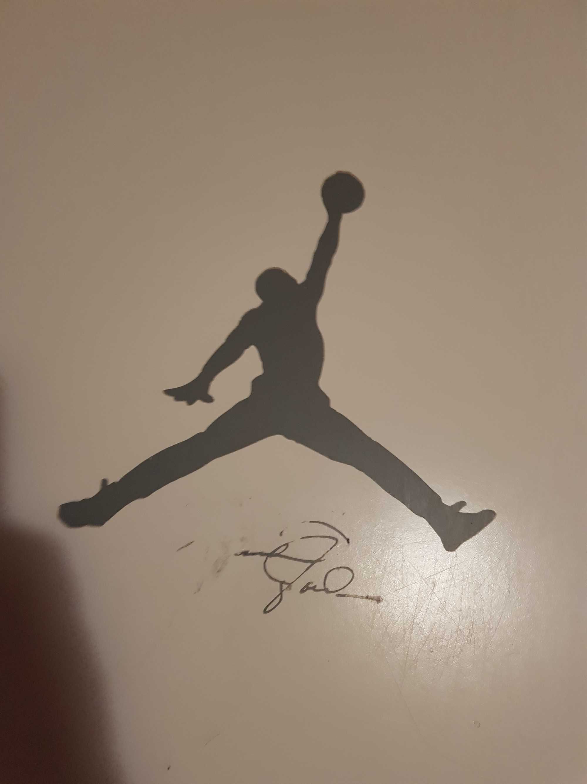 Szafka na buty skrzynia michael Jordan nike