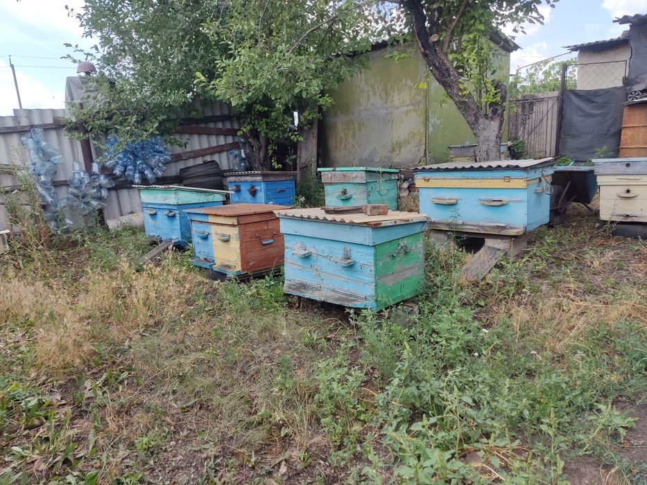 Продам пасику и улья для пчел
