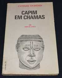 Livro Capim em Chamas Cyprian Ekwensi 1979