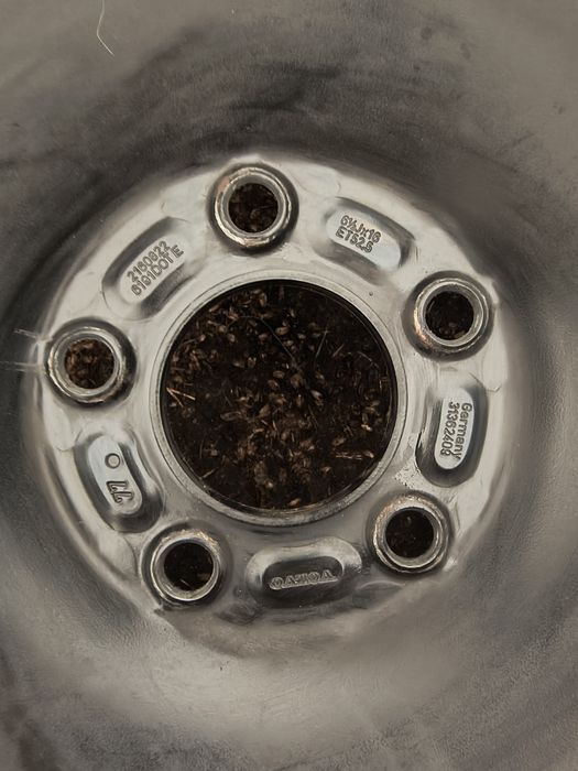 Komplet kół zimowych Volvo 5x108 Dunlop 205/55/16 !