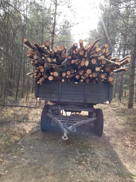 Okazja! Najniższe ceny! Drewno opałowe buk brzoza sosna
