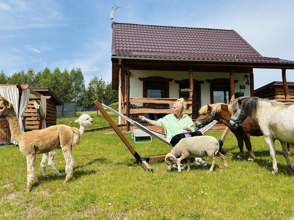 Domki Eden z kominkiem na kaszubach mini zoo