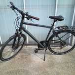 Rower trekkingowy Pegasus Opero SL