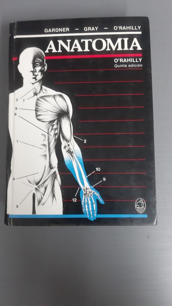 Anatomia. O'Rahilly