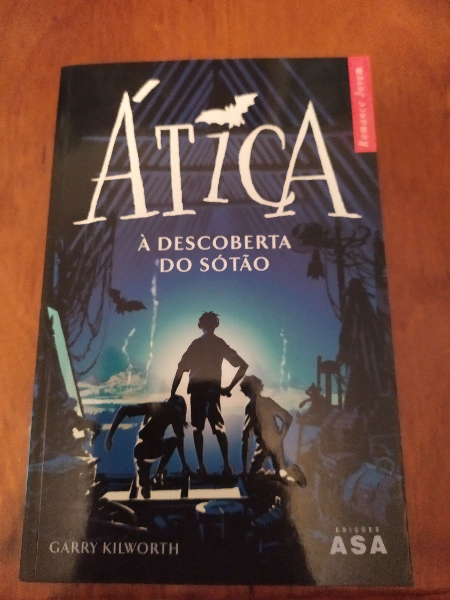 Livros Juvenis/Adolescentes (4€ cada ou troca)