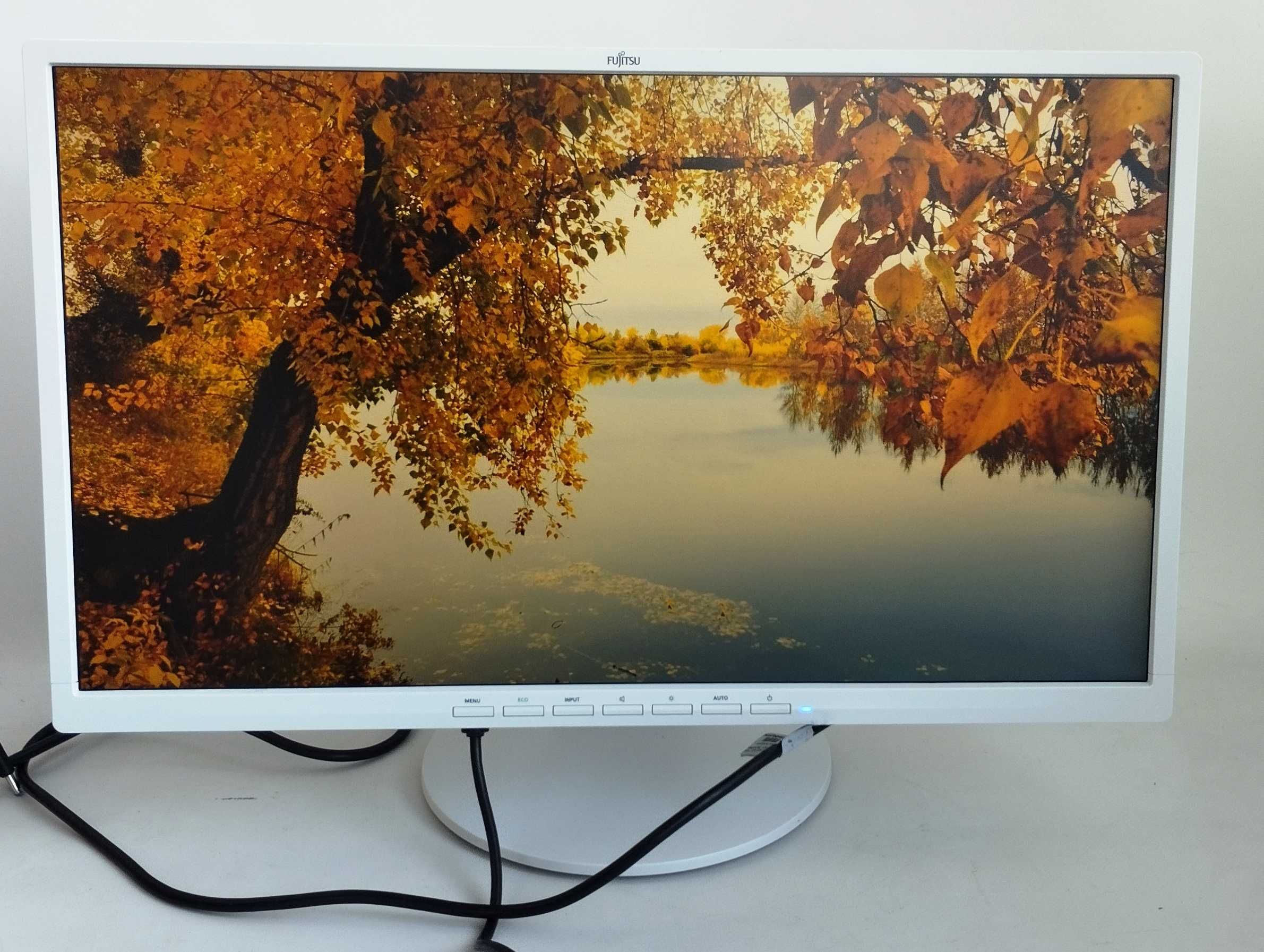 Монітор 24" Fujitsu B24-8 TE Pro ( LED IPS FullHD)