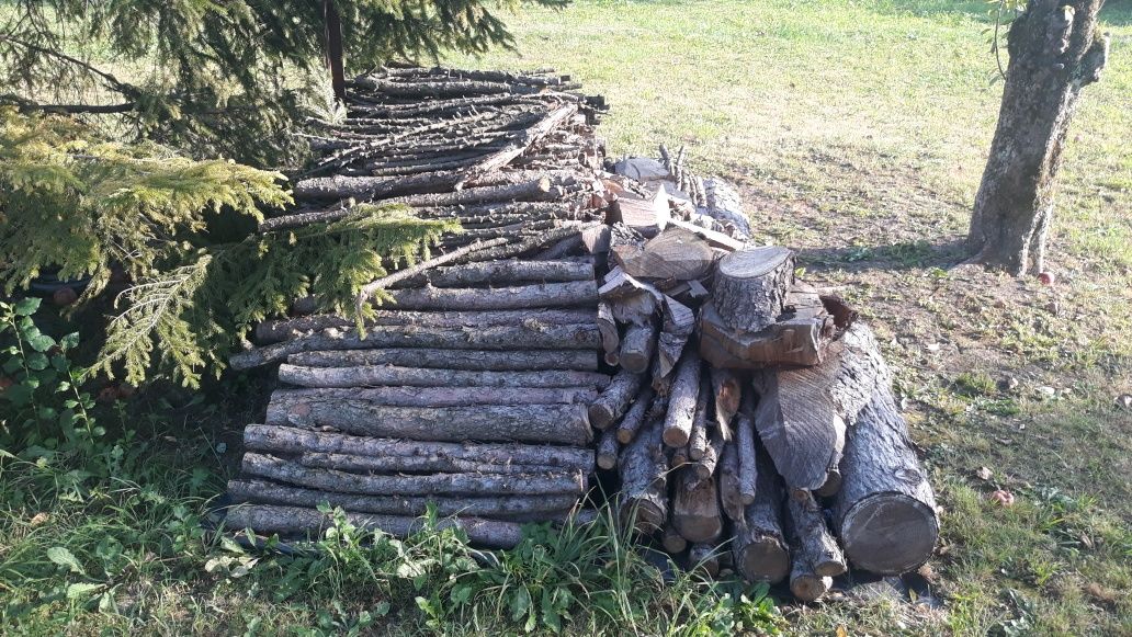 Sprzedam modrzewia