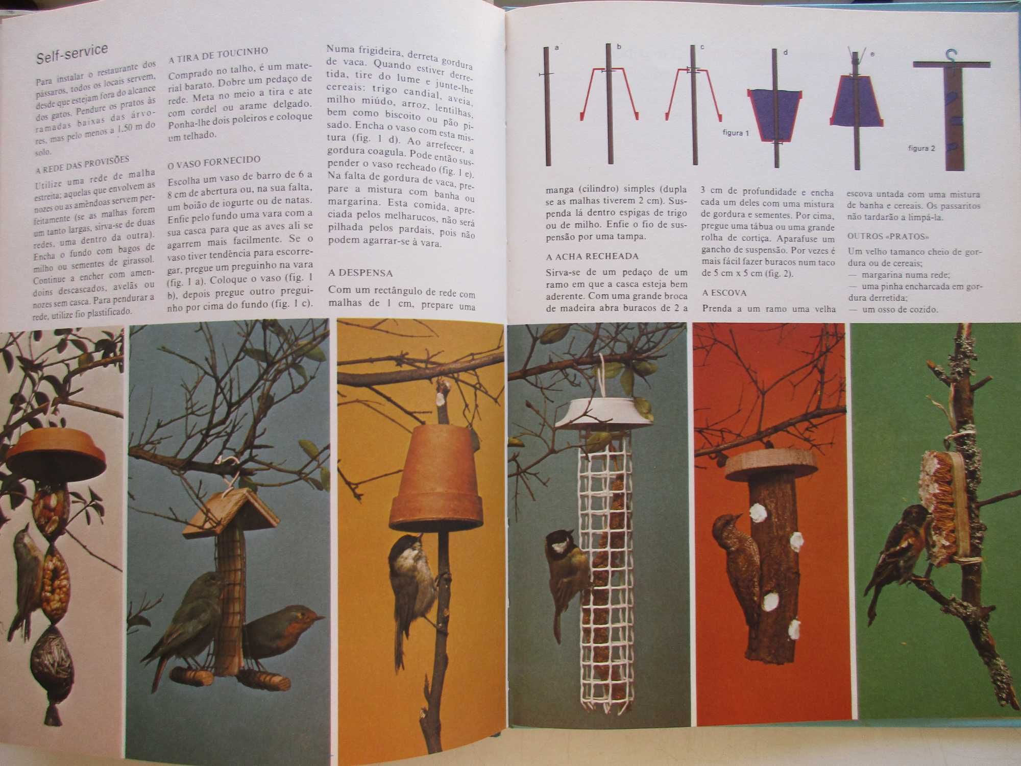 Marcel Everaere - - - Animais em Casa - - - - - Livro