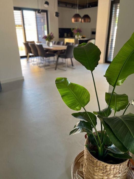 Mikrocement, posadzki, ściany, schody, łazienki z mikrocementu, montaż