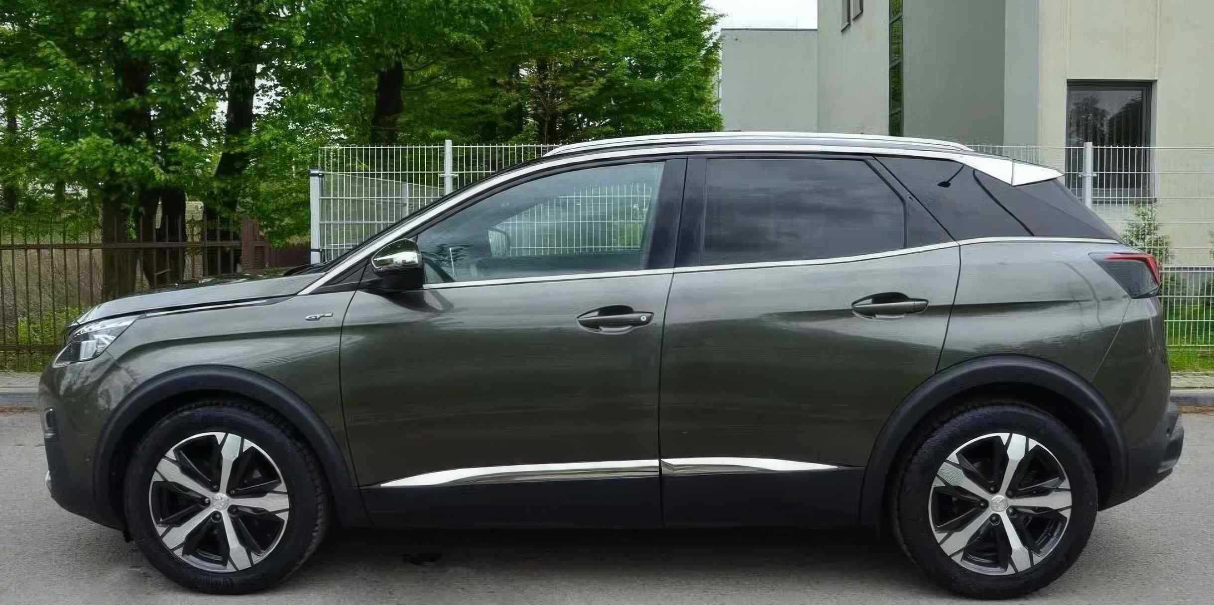 Peugeot         3008