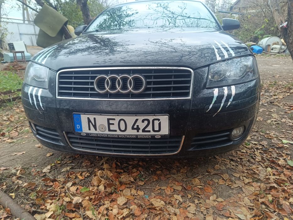 Audi A3 8P 2004 2.0D