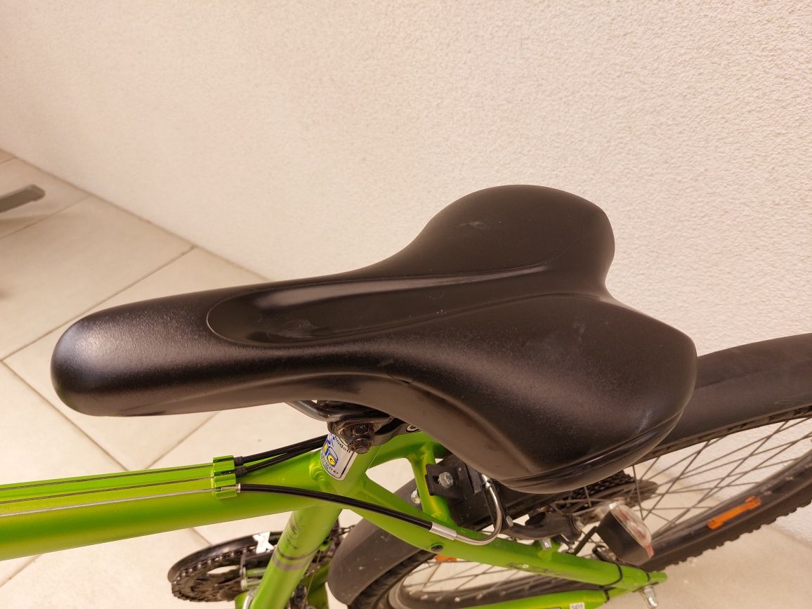 Pegasus Avanti 26"