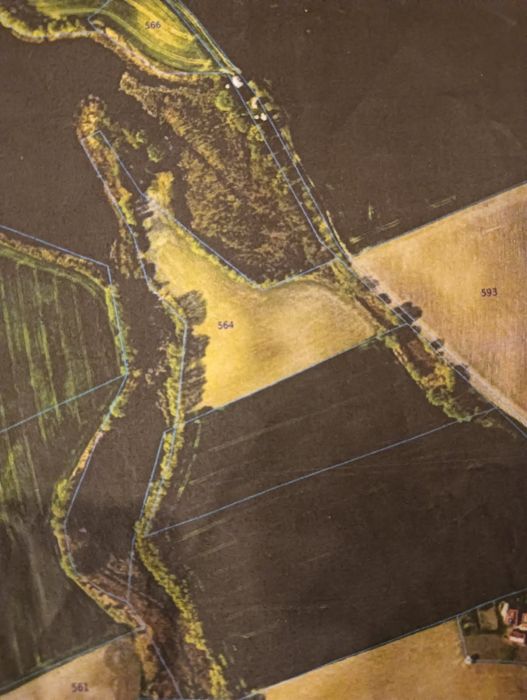 Sprzedam ziemię Małe Czyste