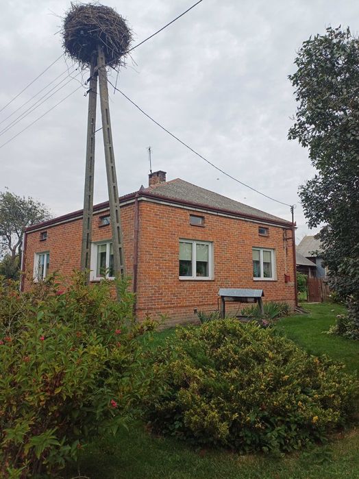 Dom z budynkami gospodarczymi  działka1 ha przy trasie Lublin Biłgoraj