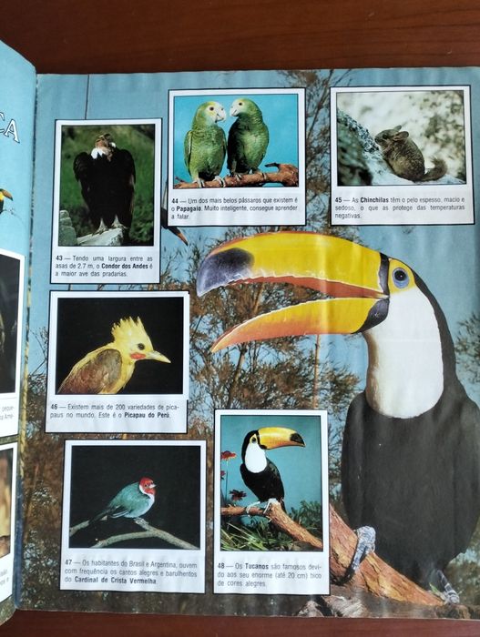 Caderneta Animals of the World - Panini